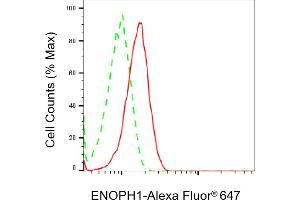 Flow cytometric analysis of ENOPH1 expression in HAP-1 cells using ENOPH1 antibody (ABIN7798452), 1:1,000). (MASA anticorps)