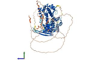 AlphaFold protein structure predicition of Mouse Recombinant Rgl2 Protein, UniprotID Q61193