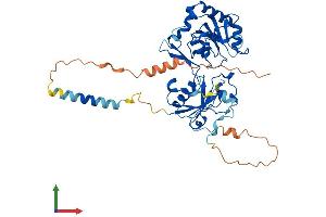 AlphaFold protein structure predicition of Mouse Recombinant Fut4 Protein, UniprotID Q11127