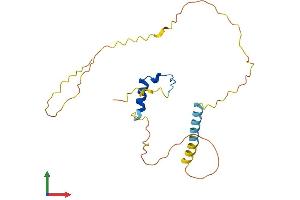 AlphaFold protein structure predicition of Mouse Recombinant Cited1 Protein, UniprotID P97769