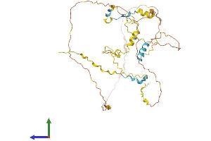 AlphaFold protein structure predicition of Human Recombinant CDC42EP1 Protein, UniprotID Q00587
