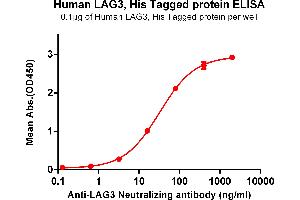 ELISA plate pre-coated by 1 μg/mL (100 μL/well) Human , His tagged protein (ABIN6964105, ABIN7042465 and ABIN7042466) can bind Anti- Neutralizing antibody ABIN7093078 and ABIN7272608 in a linear range of 16-80 ng/mL.
