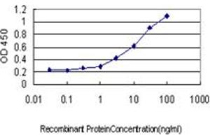 Detection limit for recombinant GST tagged TAF7 is approximately 0.