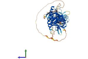 AlphaFold protein structure predicition of Human Recombinant SNTB2 Protein, UniprotID Q13425