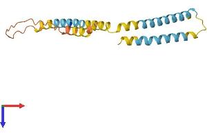 AlphaFold protein structure predicition of Human Recombinant BIK Protein, UniprotID Q13323