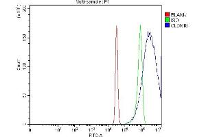 Flow Cytometry analysis of Hela cells using anti-Claudin18/CLDN18 antibody (ABIN7601257). (Claudin 18 anticorps  (AA 31-261))