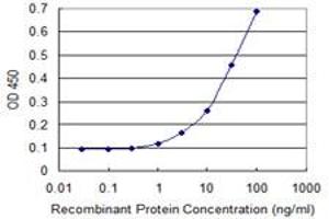 Detection limit for recombinant GST tagged KLF15 is 1 ng/ml as a capture antibody. (KLF15 anticorps  (AA 1-78))