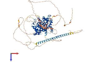AlphaFold protein structure predicition of Human Recombinant TBC1D10B Protein, UniprotID Q4KMP7
