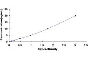 Typical standard curve (KLC1 Kit ELISA)