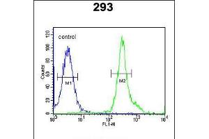 Flow cytometric analysis of 293 cells (right histogram) compared to a negative control cell (left histogram).