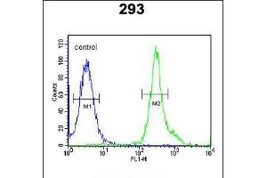 Flow cytometric analysis of 293 cells (right histogram) compared to a negative control cell (left histogram). (Tetraspanin 3 anticorps  (AA 90-117))