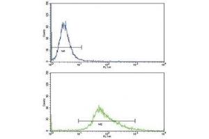 Flow cytometric analysis of MDA-MB468 cells using WNT4 antibody (green) compared to a negative control (blue).
