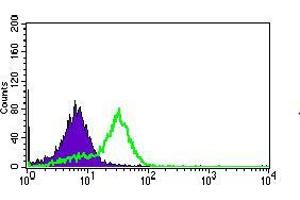 Flow cytometric analysis of HepG2 cells using MRPL42 mouse mAb (green) and negative control (purple). (MRPL42 anticorps  (AA 10-142))