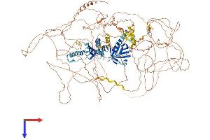 AlphaFold protein structure predicition of Human Recombinant IRS4 Protein, UniprotID O14654