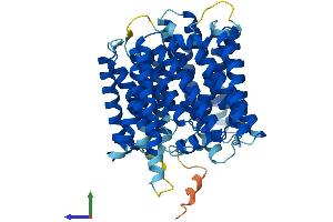 AlphaFold protein structure predicition of Human Recombinant DOLK Protein, UniprotID Q9UPQ8