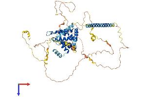 AlphaFold protein structure predicition of Human Recombinant EPN1 Protein, UniprotID Q9Y6I3