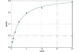 A typical standard curve (Elastase 3B Kit ELISA)