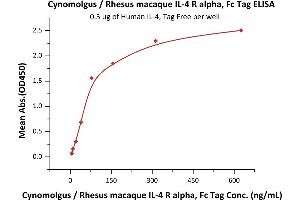 Immobilized Human IL-4, Tag Free (ABIN2181318,ABIN3071738) at 5 μg/mL (100 μL/well) can bind Cynomolgus / Rhesus macaque IL-4 R alpha, Fc Tag (ABIN2870596,ABIN2870597) with a linear range of 10-78 ng/mL (QC tested). (IL4 Receptor Protein (AA 26-232) (Fc Tag))