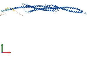 AlphaFold protein structure predicition of Mouse Recombinant Tekt4 Protein, UniprotID Q149S1