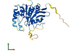 AlphaFold protein structure predicition of Human Recombinant GUCD1 Protein, UniprotID Q96NT3