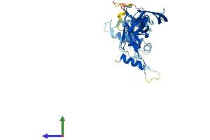AlphaFold protein structure predicition of Mouse Recombinant Dnajb13 Protein, UniprotID Q80Y75