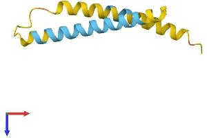 AlphaFold protein structure predicition of Mouse Recombinant Nnat Protein, UniprotID Q61979