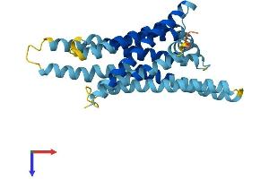 AlphaFold protein structure predicition of Mouse Recombinant Tas2r16 Protein, UniprotID P59529
