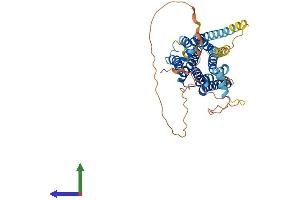 AlphaFold protein structure predicition of Human Recombinant HTR6 Protein, UniprotID P50406