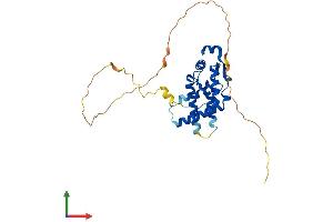 AlphaFold protein structure predicition of Mouse Recombinant Morf4l2 Protein, UniprotID Q9R0Q4