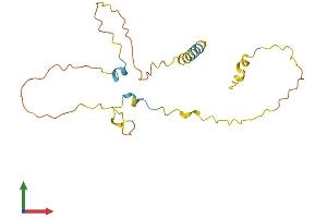 AlphaFold protein structure predicition of Mouse Recombinant Map6d1 Protein, UniprotID Q14BB9