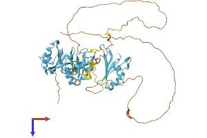 AlphaFold protein structure predicition of Mouse Recombinant Hnrnph2 Protein, UniprotID P70333
