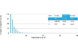 Protein Array (PAr) image for anti-Neuropeptide Y (NPY) antibody (ABIN7456172) (NPY anticorps)