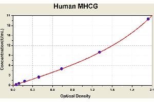 Diagramm of the ELISA kit to detect Human MHCGwith the optical density on the x-axis and the concentration on the y-axis.
