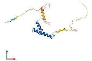 AlphaFold protein structure predicition of Mouse Recombinant Id4 Protein, UniprotID P41139