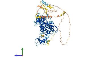 AlphaFold protein structure predicition of Human Recombinant DTX1 Protein, UniprotID Q86Y01