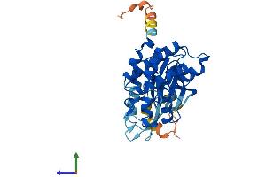 AlphaFold protein structure predicition of Human Recombinant CDK6 Protein, UniprotID Q00534