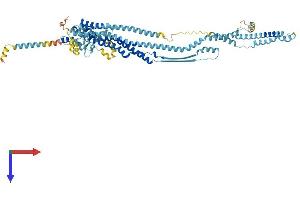 AlphaFold protein structure predicition of Mouse Recombinant Dcst1 Protein, UniprotID Q059Y8