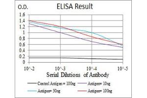 Fig. (TTR anticorps  (AA 1-147))