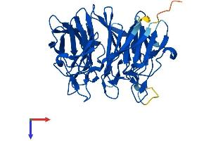 AlphaFold protein structure predicition of Mouse Recombinant Klhdc8b Protein, UniprotID Q9D2D9