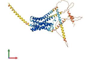 AlphaFold protein structure predicition of Mouse Recombinant Gpr161 Protein, UniprotID B2RPY5