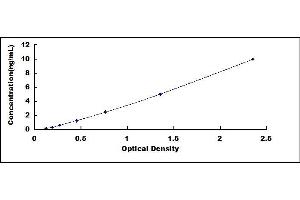Typical standard curve (ROCK2 Kit ELISA)