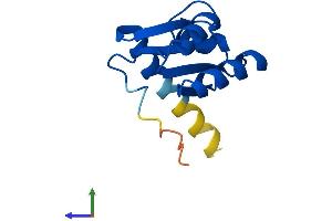 AlphaFold protein structure predicition of Human Recombinant RPL30 Protein, UniprotID P62888
