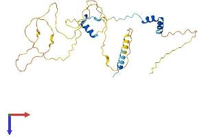 AlphaFold protein structure predicition of Human Recombinant VGLL4 Protein, UniprotID Q14135