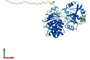 AlphaFold protein structure predicition of Human Recombinant EIF4A3 Protein, UniprotID P38919