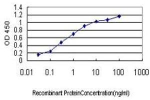 Detection limit for recombinant GST tagged BUB1 is approximately 0.