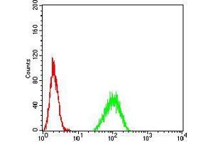 Flow cytometric analysis of A549 cells using PAX6 mouse mAb (green) and negative control (red).