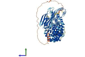 AlphaFold protein structure predicition of Human Recombinant AP1G2 Protein, UniprotID O75843