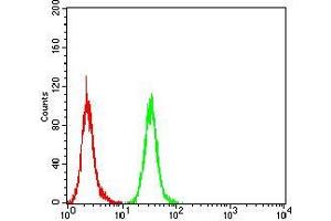 Flow cytometric analysis of Hela cells using GAD2 mouse mAb (green) and negative control (red).