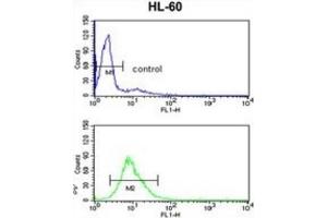 Flow Cytometry (FACS) image for anti-Exosome Component 8 (EXOSC8) antibody (ABIN3001629)