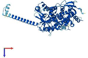 AlphaFold protein structure predicition of Human Recombinant CYP4F22 Protein, UniprotID Q6NT55
